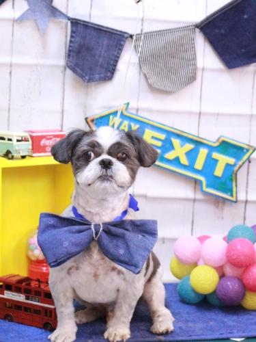 20230413大吉くん